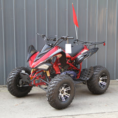 Ricky Power Sports RPS  Blizzard 200cc Sports 4 Stroke ATV - TK200ATV-C5