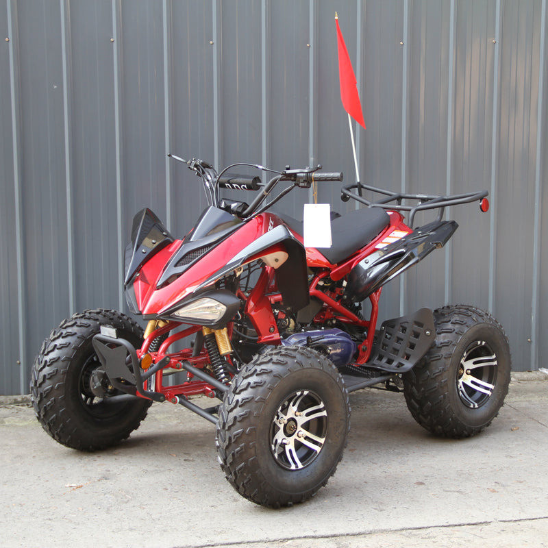 Ricky Power Sports RPS  Blizzard 200cc Sports 4 Stroke ATV - TK200ATV-C5