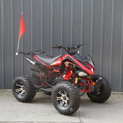 Ricky Power Sports RPS  Blizzard 200cc Sports 4 Stroke ATV - TK200ATV-C5