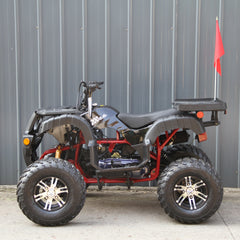 Ricky Power Sports RPS Desert 200cc Utility 4 Stroke ATV - RPS200ATV-UA