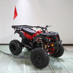 Ricky Power Sports RPS Desert 200cc Utility 4 Stroke ATV - RPS200ATV-UA
