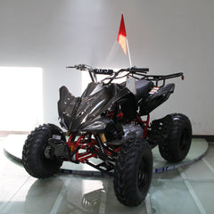 Ricky Power Sports RPS  Blizzard 200cc Sports 4 Stroke ATV - TK200ATV-C5