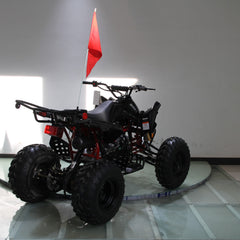 Ricky Power Sports RPS  Blizzard 200cc Sports 4 Stroke ATV - TK200ATV-C5