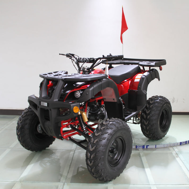 Ricky Power Sports RPS Desert 200cc Utility 4 Stroke ATV - RPS200ATV-UA
