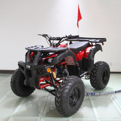 Ricky Power Sports RPS Desert 200cc Utility 4 Stroke ATV - RPS200ATV-UA