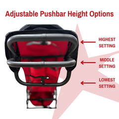 Adaptive Star Axiom LASSEN 4-Wheeled Push Chair -  ALA*