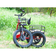 Emojo Bison Pro 750W 3-Wheel Electric Trike - EBK12