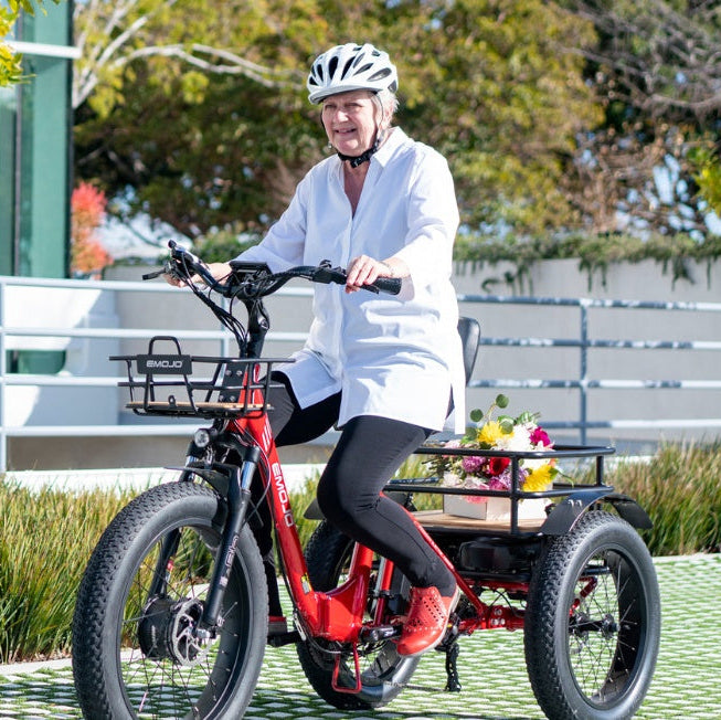 Emojo Bison Pro 750W 3-Wheel Electric Trike - EBK12