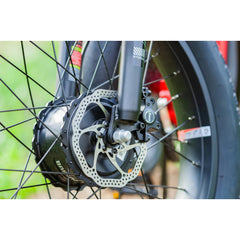 Emojo Bison Pro 750W 3-Wheel Electric Trike - EBK12