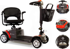 Reyhee Cruiser Electric Mobility Scooter 180W 24V - R100