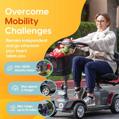 Reyhee Cruiser Electric Mobility Scooter 180W 24V - R100