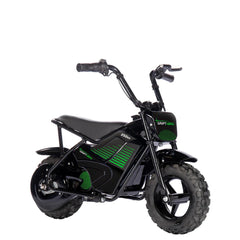 Drift Hero 250W Youth Electric Mini Bike - DH1018