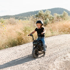Drift Hero 250W Youth Electric Mini Bike - DH1018