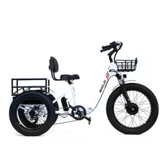 Emojo Bison Pro 750W 3-Wheel Electric Trike - EBK12
