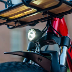 Emojo Bison Pro 750W 3-Wheel Electric Trike - EBK12