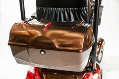 JYD Gazelle Mobility Scooter with Canopy and Windshield - Gazelle-Scooter
