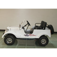 Ricky Power Sports RPS 150cc Mini Classic Car - RPS-150-CAR