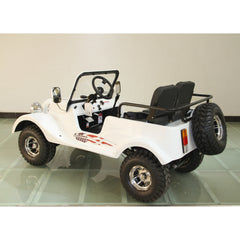 Ricky Power Sports RPS 150cc Mini Classic Car - RPS-150-CAR