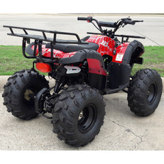 Ricky Power Sports RPS BULL 125cc 8" Tire Utility 4 Stroke ATV - ATV125-U8