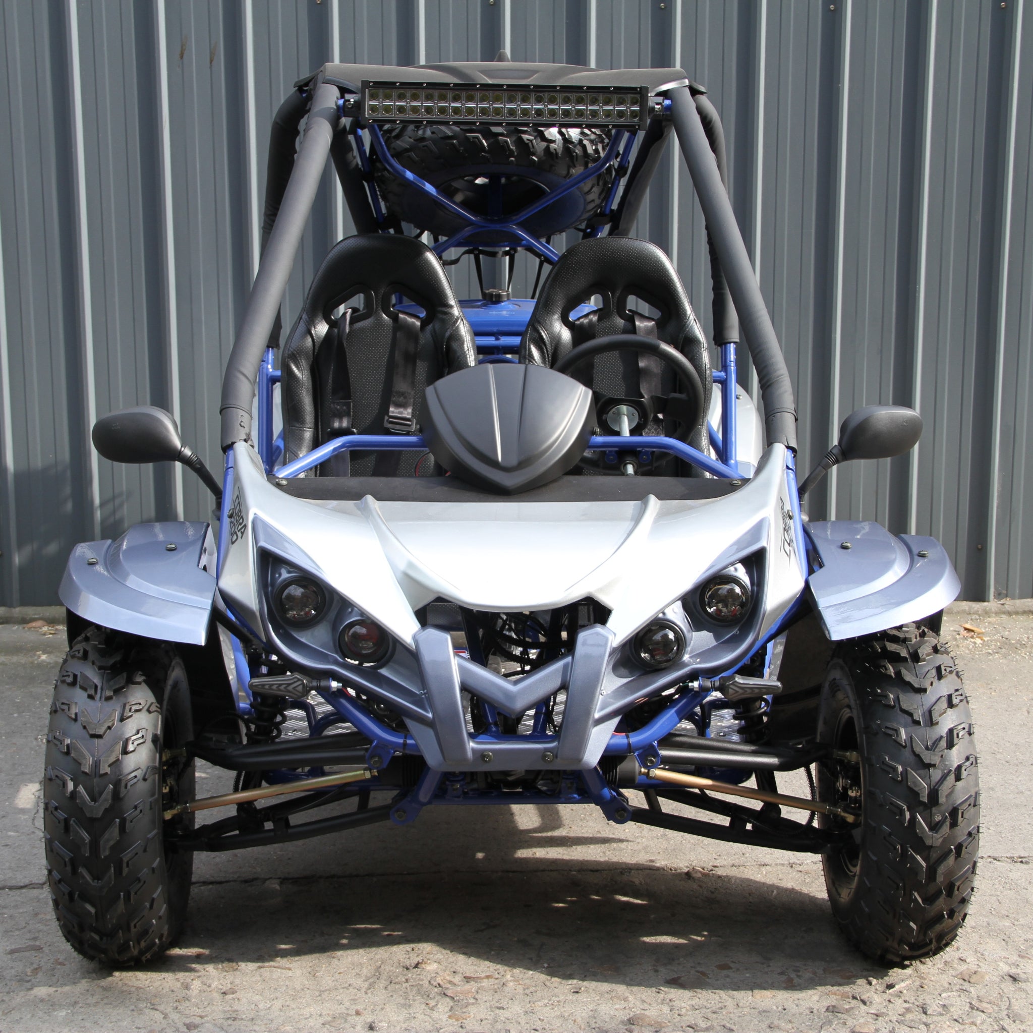 Ricky Power Sports RPS Cobra 200cc Upgraded 2 Seater Go Kart - RPS-DF200GKR