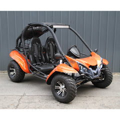 Ricky Power Sports RPS Cobra 200cc Upgraded 2 Seater Go Kart - RPS-DF200GKR