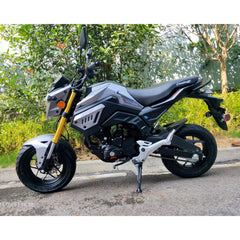 Ricky Power Sports RPS Condor 150cc 4-Stroke Motorcycle - LY-150-2B-CON