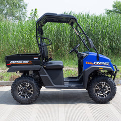 Ricky Power Sports RPS Crosslands 200cc (2WD) EFI UTV - RPS-CROSS-200-UTV