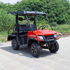 Ricky Power Sports RPS Crosslands 200cc EFI Golf Cart/UTV - RPS-CROSS-200-GC