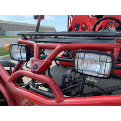 Ricky Power Sports RPS Family Fun 200cc 4 Seater Go Kart - RPS-FF-200-GK