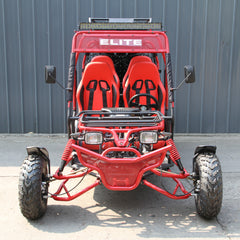 Ricky Power Sports RPS Family Fun 300cc 4 Seater Go Kart - RPS-FF-300-GK