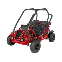 Ricky Power Sports RPS Spyder 125cc Smart Go Kart - RPS-GKY125-9