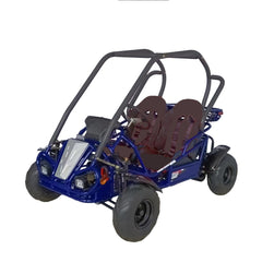 Ricky Power Sports RPS Spyder 125cc Smart Go Kart - RPS-GKY125-9