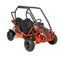 Ricky Power Sports RPS Spyder 125cc Smart Go Kart - RPS-GKY125-9